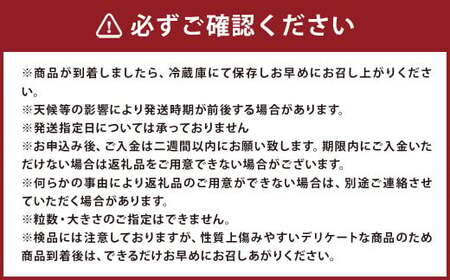 希少な地元産いちご 『みつのか』 280g×4パック 計1.12kg 【2025年12月下旬から2026年3月下旬発送予定】