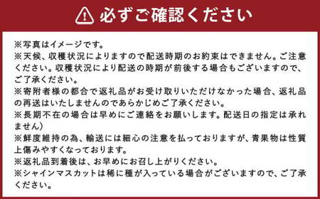 【年3回定期便】数量限定! 旬のフルーツ 定期便【 梨 ・ シャインマスカット ・ あまおう 】 【2026年7月下旬頃から順次発送予定】