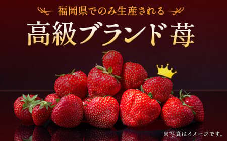 いちご「あまおう」 約270g×4パック 合計約1,080g 苺 果物 フルーツ 【2026年2月上旬～3月下旬順次発送予定】