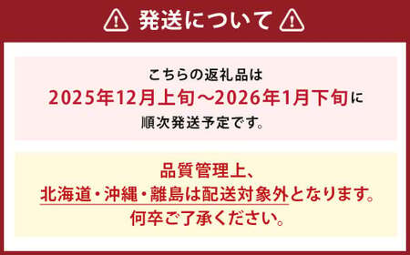  いちご「 あまおう 」 約270g×4パック 計約1,080g 【2025年12月上旬～2026年1月下旬発送予定】