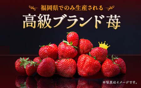  いちご「 あまおう 」 約270g×4パック 計約1,080g 【2025年12月上旬～2026年1月下旬発送予定】