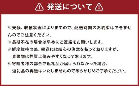  【期間限定】博多 あまおう いちご エクセレント 約450g×2パック 合計約900g【2026年1月下旬～2月下旬順次発送予定】