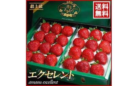  【期間限定】博多 あまおう いちご エクセレント 約450g×2パック 合計約900g【2026年1月下旬～2月下旬順次発送予定】