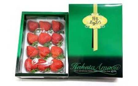  【期間限定】博多 あまおう いちご エクセレント 約450g×2パック 合計約900g【2026年1月下旬～2月下旬順次発送予定】