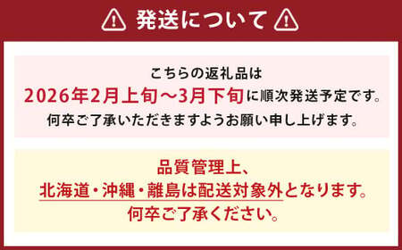 いちご「あまおう」 約270g×2パック 合計 約540g【2026年2月上旬～3月下旬発送】