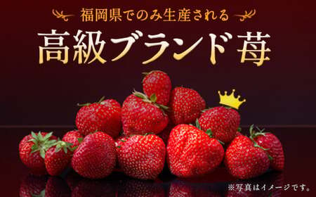いちご「あまおう」 約270g×2パック 合計 約540g【2026年2月上旬～3月下旬発送】
