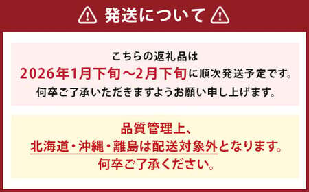 【期間限定】 博多 あまおう いちご エクセレント 約450g×1パック 苺 イチゴ 果物 フルーツ 【2026年1月下旬～2月下旬順次発送予定】 