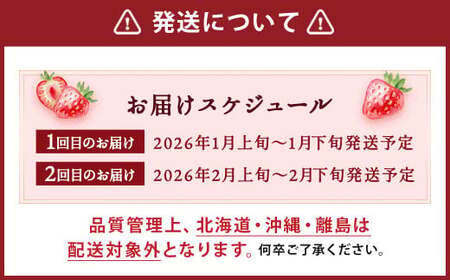 【2回定期便】いちご「あまおう」 約270g×2パック 計約1.08kg 苺 イチゴ 果物 フルーツ 【2026年1月上旬発送順次開始予定】