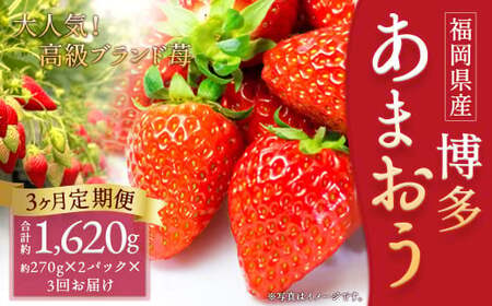 【3回定期便】いちご「あまおう」 約270g×2パック 計約1.62kg 苺 イチゴ 果物 フルーツ 【2026年1月上旬順次発送開始予定】