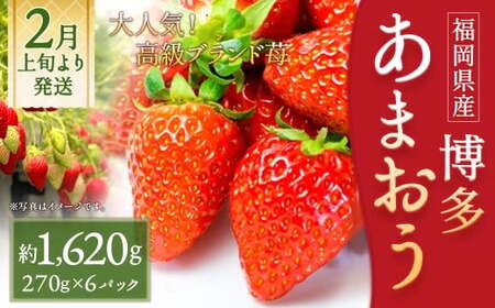 いちご 「あまおう」 約270g×6パック 計約1620g 苺 イチゴ 果物 フルーツ 【2026年2月上旬～2026年3月下旬順次発送予定】