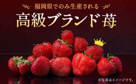 いちご 「あまおう」 約270g×6パック 計約1620g 苺 イチゴ 果物 フルーツ 【2026年2月上旬～2026年3月下旬順次発送予定】