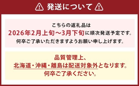 いちご 「あまおう」 約270g×8パック 計約2160g 苺 イチゴ 果物 フルーツ 【2026年2月上旬～2026年3月下旬順次発送予定】
