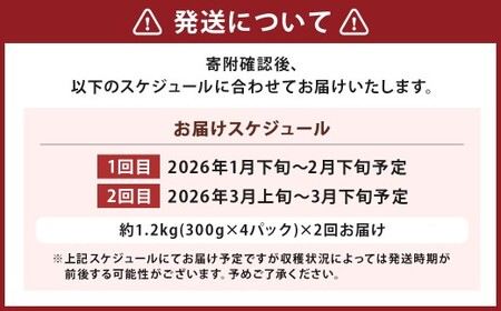 【2回定期便】いちご「かおり野」プレミアム 合計約2.4kg 約1.2kg（300g×4パック）×2回【2026年1月下旬から3月下旬発送予定】 苺 イチゴ ベリー 果物 フルーツ デザート おやつ お取り寄せ