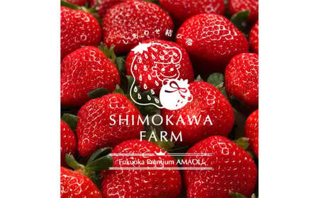 【3回定期便】 特別栽培の 濃厚 完 熟あまおう 約500g 約250g×2パック 【2026年1月上旬から3月下旬発送予定】 苺 いちご 果物 フルーツ 福岡県