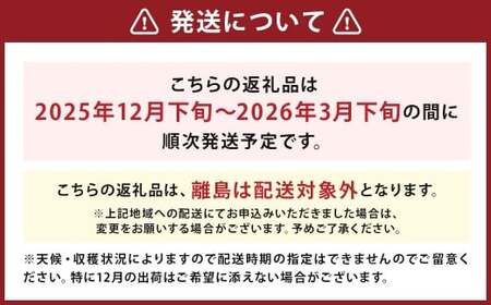 いちご 「かおり野」 プレミアム 約3.6kg ＜300g×4パック＞ 3箱 計12パック  【2025年12月下旬から2026年3月下旬まで発送予定】 苺 イチゴ 果物 果実 フルーツ 大粒 冷蔵 九州 福岡県 筑後市