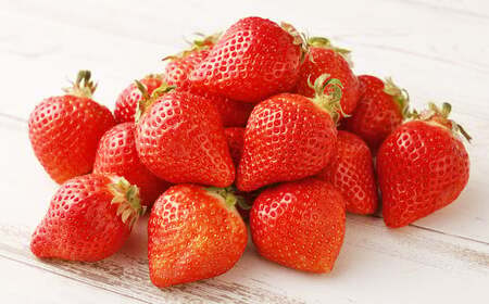 福岡県産 あまおう 合計約540g 約270g×2パック 【2026年1月上旬～1月下旬迄発送】