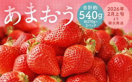 福岡県産 あまおう 合計約540g 約270g×2パック 【2026年2月上旬～2月下旬迄発送】