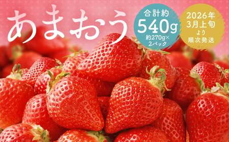福岡県産 あまおう 合計約540g 約270g×2パック 【2026年3月上旬～3月下旬迄発送】