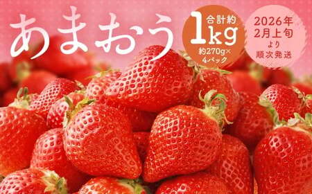 福岡県産 あまおう 合計約1,080g 約270g×4パック 【2026年2月上旬～2月下旬迄発送】