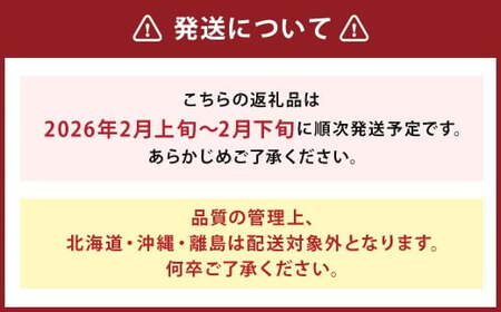 福岡県産 あまおう 合計約1,080g 約270g×4パック 【2026年2月上旬～2月下旬迄発送】
