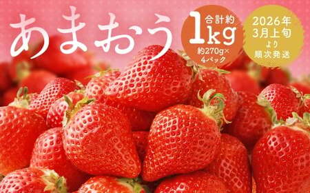福岡県産 あまおう 合計約1,080g 約270g×4パック 【2026年3月上旬～3月下旬迄発送】