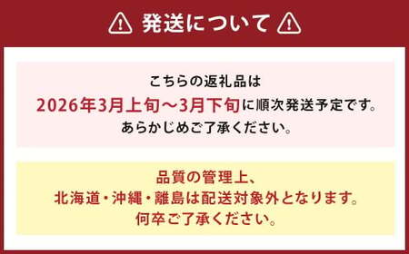福岡県産 あまおう 合計約1,080g 約270g×4パック 【2026年3月上旬～3月下旬迄発送】