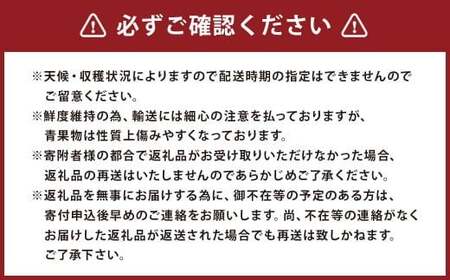 福岡県産 あまおう 合計約1,080g 約270g×4パック 【2026年3月上旬～3月下旬迄発送】
