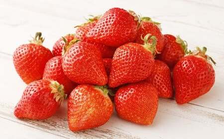 福岡県産 あまおう 合計約1,080g 約270g×4パック 【2026年3月上旬～3月下旬迄発送】