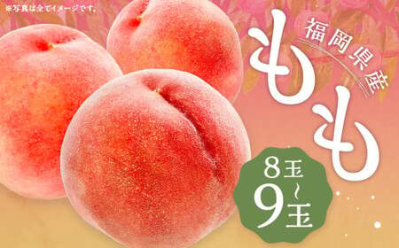 桃 8玉~9玉 福岡県産 産地直送 フルーツ 果物 もも ピーチ 果物 フルーツ お取り寄せ 【2026年6月上旬~7月下旬発送】