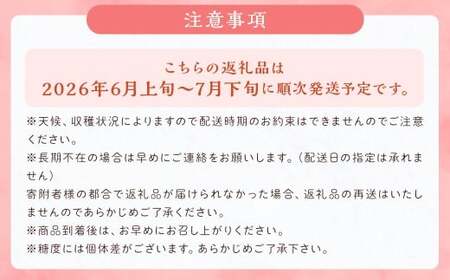 桃 8玉~9玉 福岡県産 産地直送 フルーツ 果物 もも ピーチ 果物 フルーツ お取り寄せ 【2026年6月上旬~7月下旬発送】