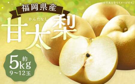 甘太梨 9玉～12玉 約5kg 梨 ナシ 果物 フルーツ 福岡県産 【2026年9月上旬～9月下旬発送】