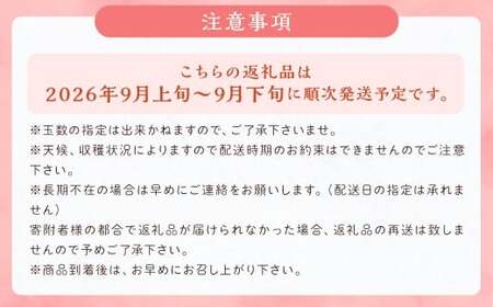甘太梨 9玉～12玉 約5kg 梨 ナシ 果物 フルーツ 福岡県産 【2026年9月上旬～9月下旬発送】