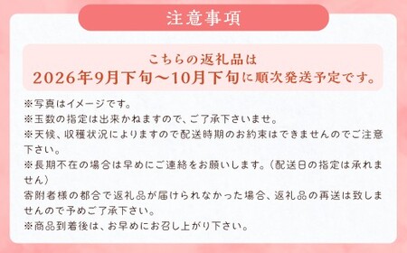 新興梨 9～12玉 約5kg【2025年9月下旬～10月下旬発送】 ナシ 梨 果物 フルーツ 福岡県産 【2026年9月下旬～10月下旬に順次発送予定】