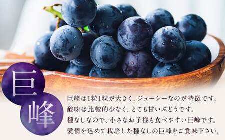 数量限定 種なし 巨峰 約350g×4パック 計約1.4kg ぶどう ブドウ 果物 フルーツ 福岡県産 【2026年6月下旬~8月上旬発送予定】