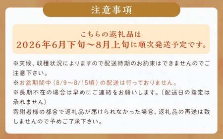 数量限定 種なし 巨峰 約350g×4パック 計約1.4kg ぶどう ブドウ 果物 フルーツ 福岡県産 【2026年6月下旬~8月上旬発送予定】