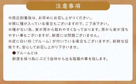 数量限定 種なし 巨峰 約350g×4パック 計約1.4kg ぶどう ブドウ 果物 フルーツ 福岡県産 【2026年6月下旬~8月上旬発送予定】