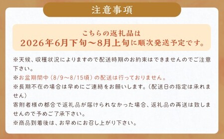数量限定 博多ピオーネ 約350g×4パック 計約1.4kg ぶどう ブドウ 果物 フルーツ 福岡県産 【2026年6月下旬～8月上旬発送予定】