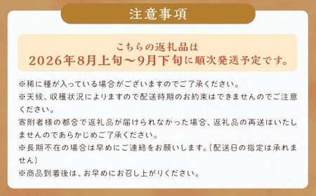 先行予約 シャインマスカット 約1.4kg ぶどう 葡萄 ブドウ マスカット 果物 フルーツ 【2026年8月上旬～9月下旬発送】 