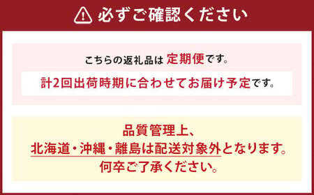 【年2回定期便】 数量限定 旬のフルーツ 定期便 【 シャインマスカット ・ あまおう 】 合計 約2.48kg 福岡県産 果物 いちご ぶどう セット 詰合せ
