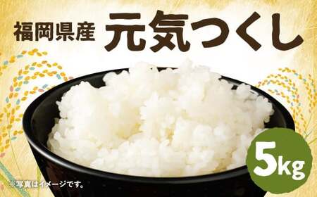 【先行予約】令和7年産 元気つくし 5kg×1袋 ／ 米 お米 ご飯 精米 九州 福岡