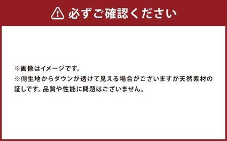シングル 羽毛肌掛けふとん （ダウン 85%・充填量400g・アイボリー ） 訳あり 洗える 羽毛ふとん 羽毛布団 収納ケース付き ダウンケット インナーケット お昼寝用 布団 福岡県 筑後市
