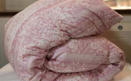 羽毛 専門工場 直送 国産 羽毛ふとん ダックダウン 70% 1.0kg 防臭加工 色柄おまかせ 洗える羽毛ふとん 収納 ケース付き マンション 暑がり 軽量 タイプ 節電 対策 福岡県 筑後市