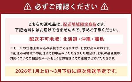 完熟あまおう(大粒サイズ)275g×4パック 計約1.1kg【2026年1月上旬から3月下旬頃発送予定】 苺 いちご イチゴ 果物 くだもの フルーツ 国産 冷蔵