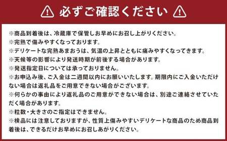 完熟あまおう(大粒サイズ)275g×4パック 計約1.1kg【2026年1月上旬から3月下旬頃発送予定】 苺 いちご イチゴ 果物 くだもの フルーツ 国産 冷蔵