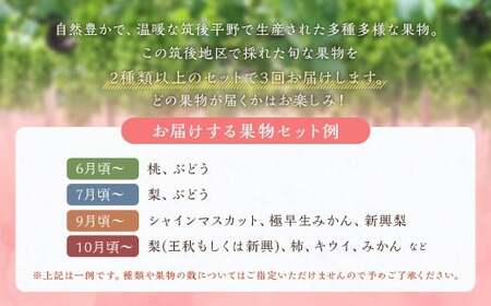 【3回定期便】今が旬な地元産の果物詰め合わせセット【2026年6月上旬から順次発送予定】 桃 ぶどう 梨 みかん 柿 キウイ 国産 冷蔵
