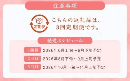 【3回定期便】今が旬な地元産の果物詰め合わせセット【2026年6月上旬から順次発送予定】 桃 ぶどう 梨 みかん 柿 キウイ 国産 冷蔵