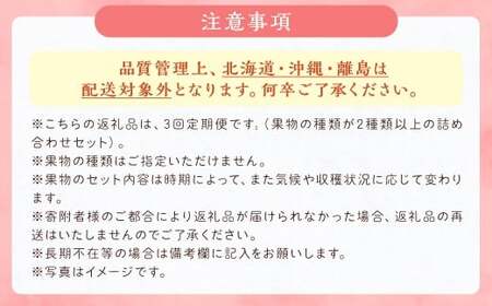 【3回定期便】今が旬な地元産の果物詰め合わせセット【2026年6月上旬から順次発送予定】 桃 ぶどう 梨 みかん 柿 キウイ 国産 冷蔵