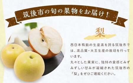 【3回定期便】今が旬な地元産の果物詰め合わせセット【2026年6月上旬から順次発送予定】 桃 ぶどう 梨 みかん 柿 キウイ 国産 冷蔵