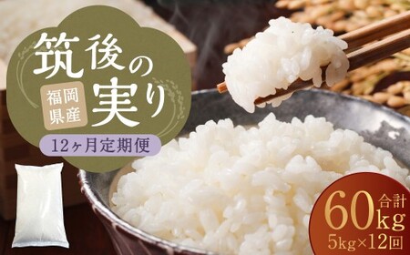 【12回定期便】 筑後の実り 5kg×12回 定期便 米 白米 ブレンド ご飯 国産 贈り物 定期便 福岡県 筑後市