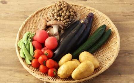 産直 野菜 詰め合わせ BOX 福岡県産 ( お野菜 と 米 の セット )【2026年5月下旬頃迄発送予定】